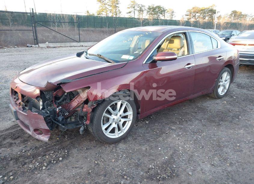 Photo 2 of 2009 Nissan Maxima 3.5 SV (VIN 1N4AA51E99C828901)