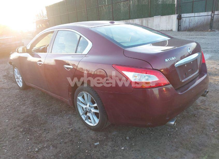 Photo 3 of 2009 Nissan Maxima 3.5 SV (VIN 1N4AA51E99C828901)