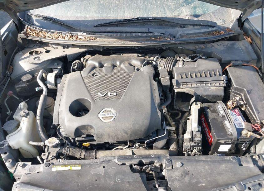 Photo 10 of 2009 Nissan Maxima 3.5 S (VIN 1N4AA51E99C832592)