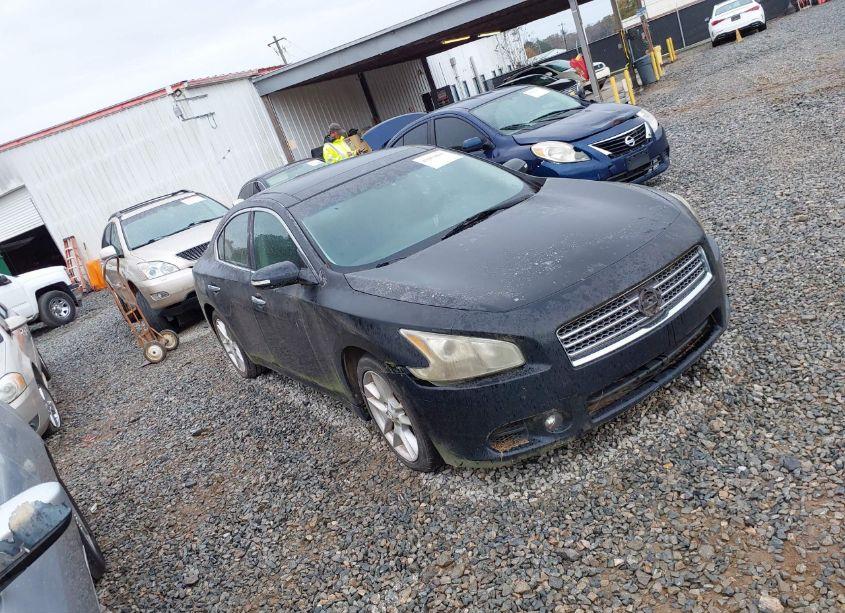 2009 Nissan Maxima 3.5 SV (VIN 1N4AA51E99C849103) main photo