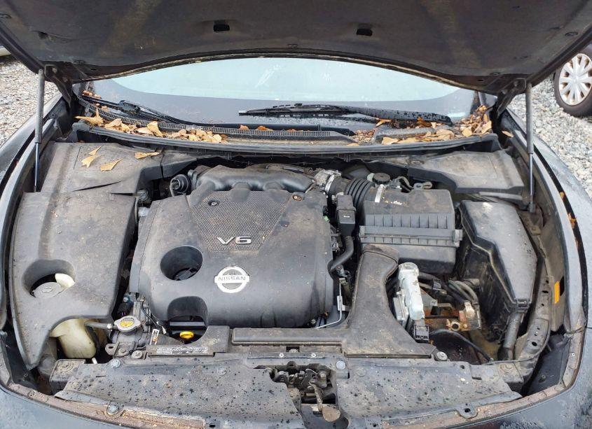 Photo 10 of 2009 Nissan Maxima 3.5 SV (VIN 1N4AA51E99C849103)
