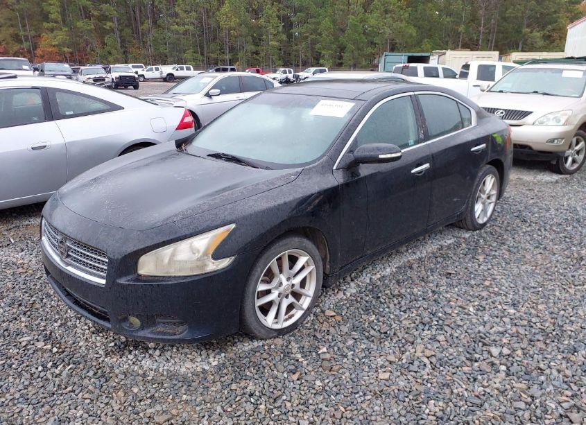 Photo 2 of 2009 Nissan Maxima 3.5 SV (VIN 1N4AA51E99C849103)