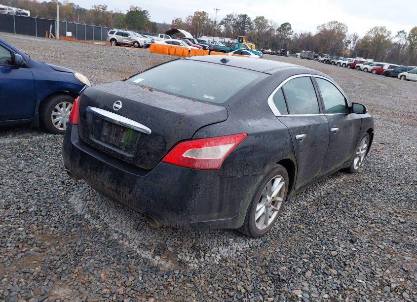 Photo 4 of 2009 Nissan Maxima 3.5 SV (VIN 1N4AA51E99C849103)