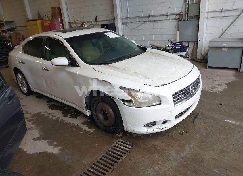 2009 Nissan Maxima 3.5 S (VIN 1N4AA51E99C852809) main photo