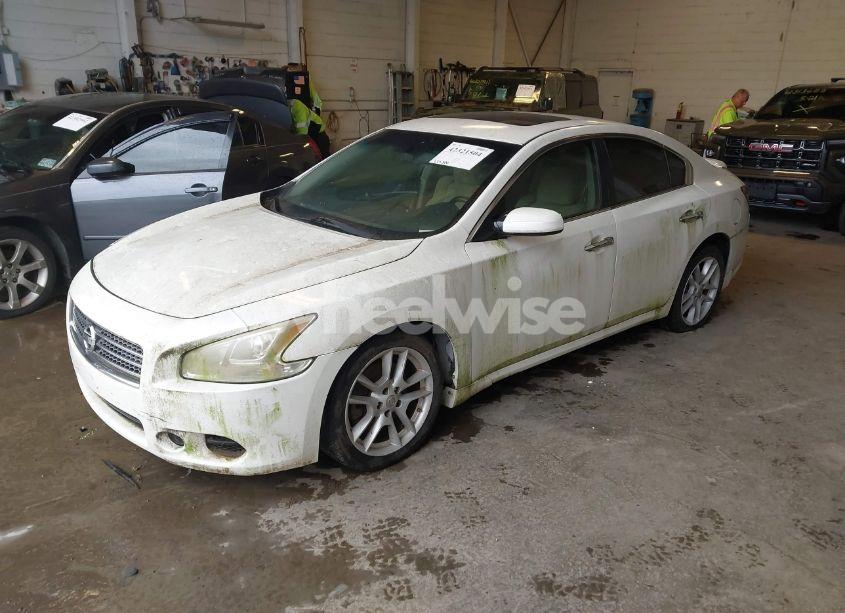 Photo 2 of 2009 Nissan Maxima 3.5 S (VIN 1N4AA51E99C852809)