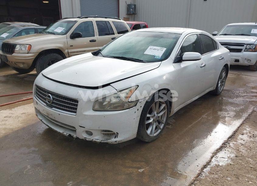 Photo 2 of 2009 Nissan Maxima 3.5 S (VIN 1N4AA51EX9C826350)