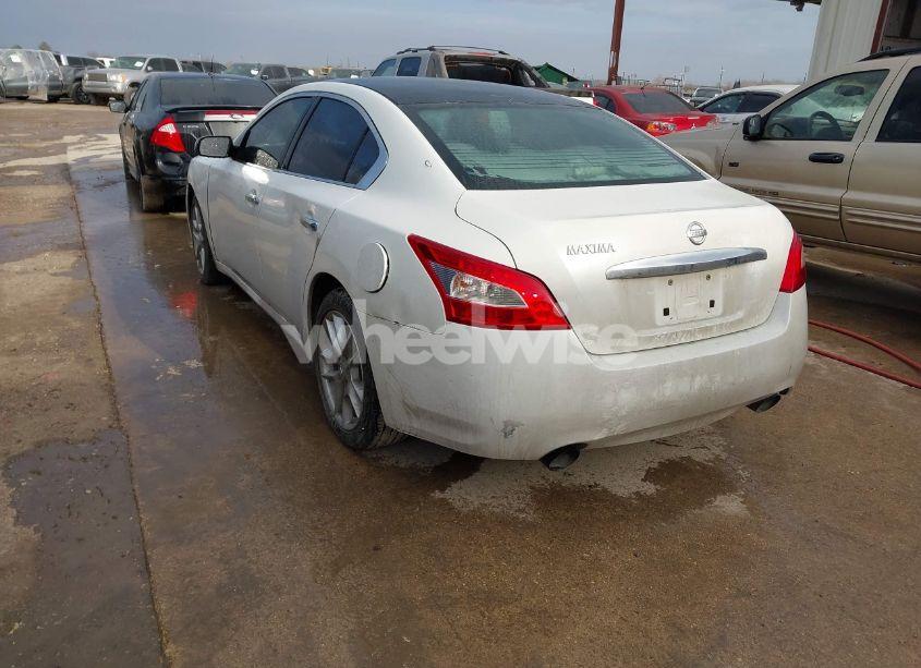 Photo 3 of 2009 Nissan Maxima 3.5 S (VIN 1N4AA51EX9C826350)