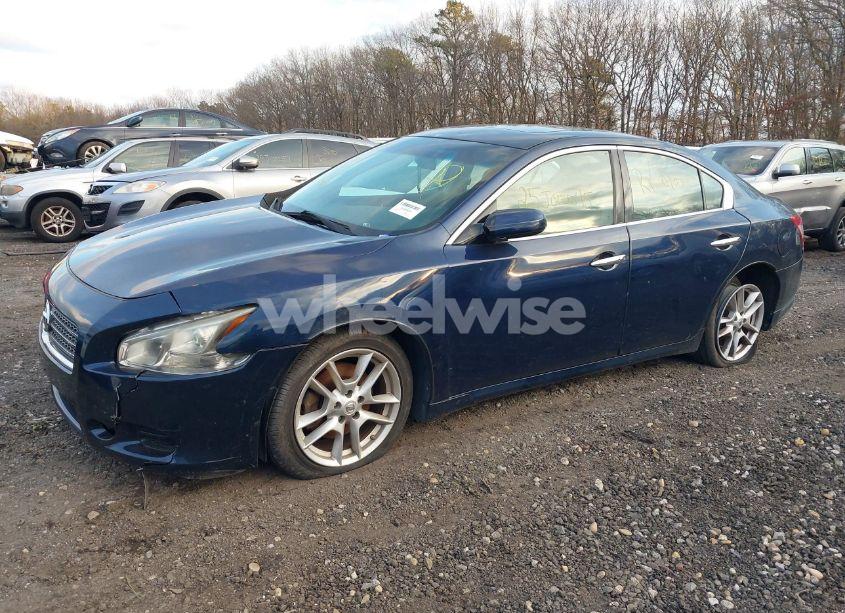 Photo 2 of 2009 Nissan Maxima 3.5 S (VIN 1N4AA51EX9C830494)
