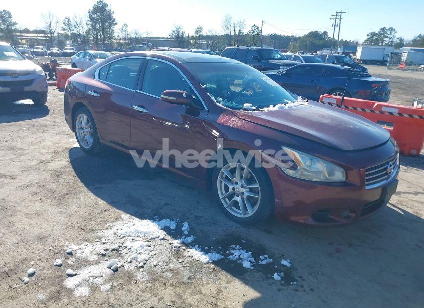 2009 Nissan Maxima 3.5 SV (VIN 1N4AA51EX9C831029) main photo
