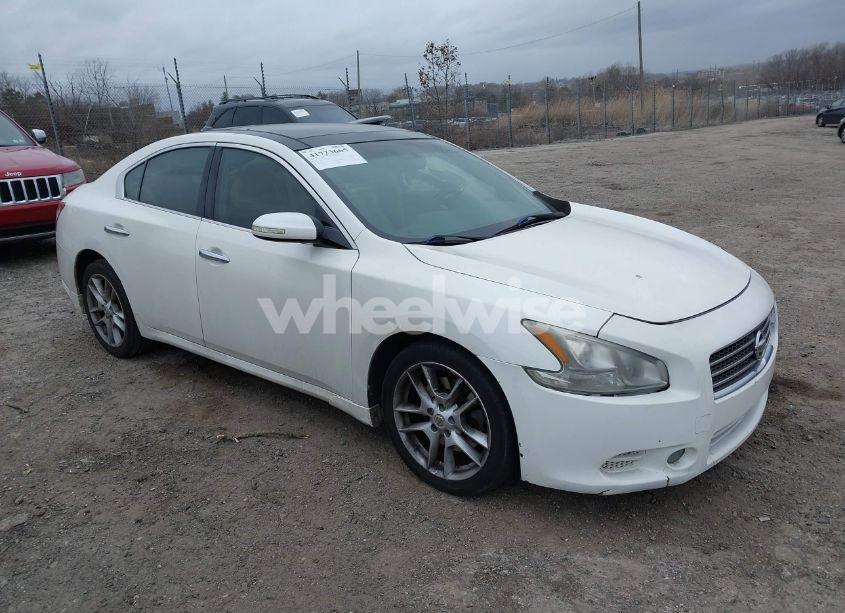 2009 Nissan Maxima 3.5 SV (VIN 1N4AA51EX9C847439) main photo