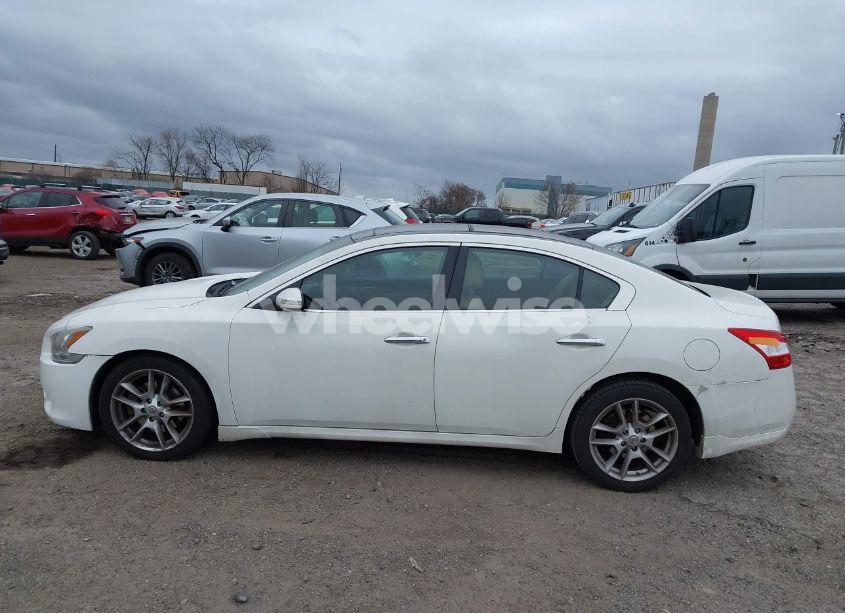 Photo 15 of 2009 Nissan Maxima 3.5 SV (VIN 1N4AA51EX9C847439)