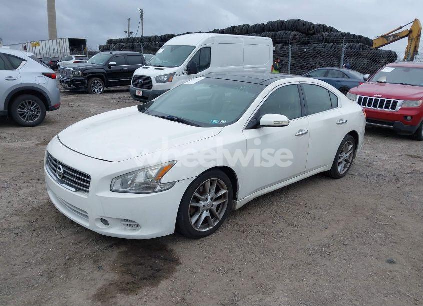 Photo 2 of 2009 Nissan Maxima 3.5 SV (VIN 1N4AA51EX9C847439)