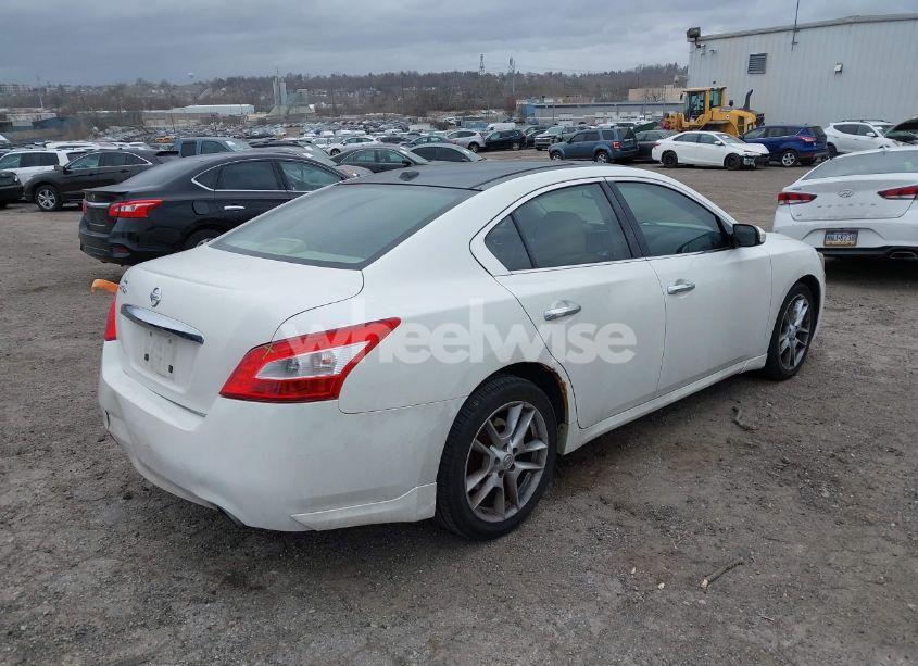 Photo 4 of 2009 Nissan Maxima 3.5 SV (VIN 1N4AA51EX9C847439)