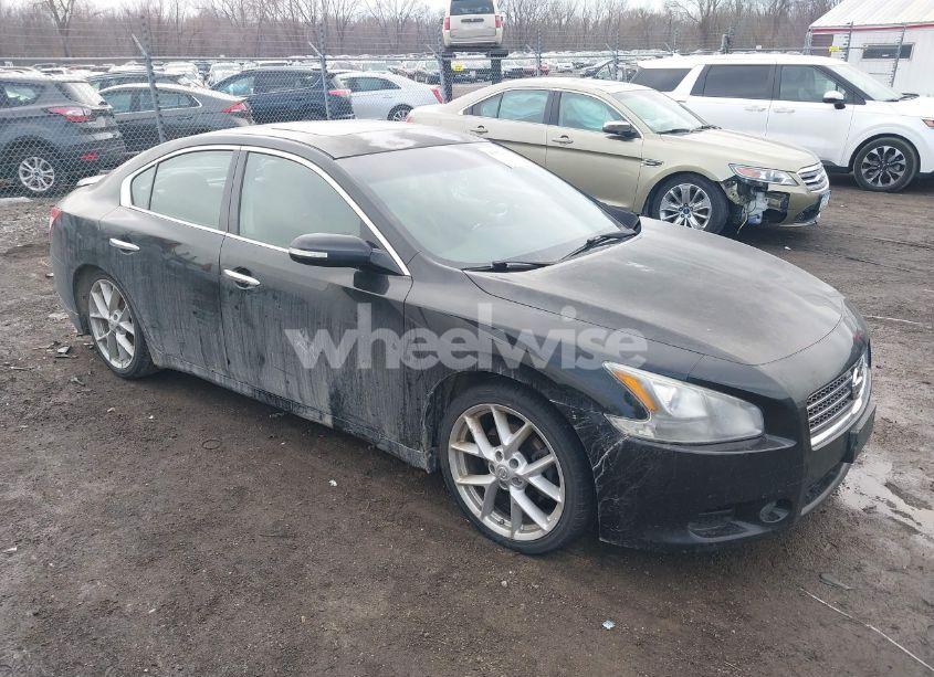 2009 Nissan Maxima 3.5 SV (VIN 1N4AA51EX9C856352) main photo