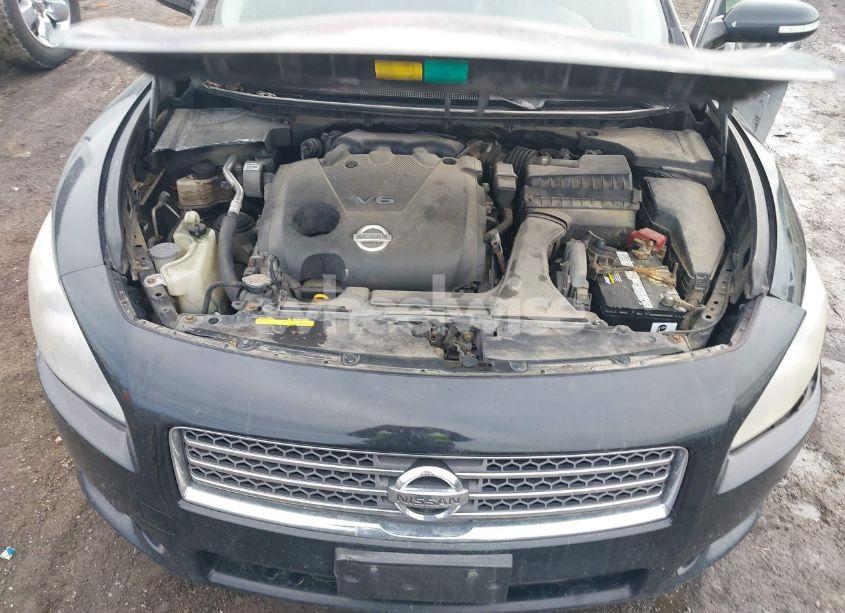 Photo 10 of 2009 Nissan Maxima 3.5 SV (VIN 1N4AA51EX9C856352)