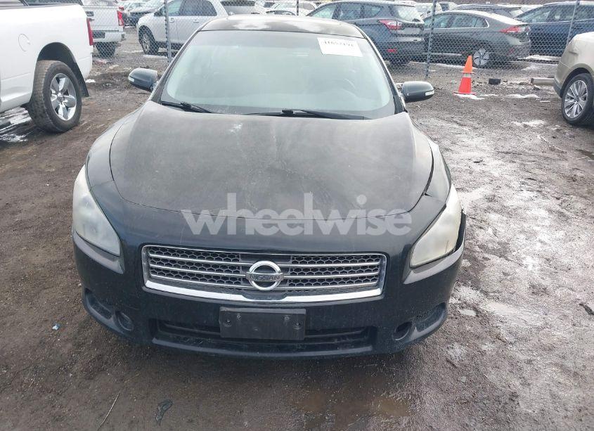 Photo 12 of 2009 Nissan Maxima 3.5 SV (VIN 1N4AA51EX9C856352)