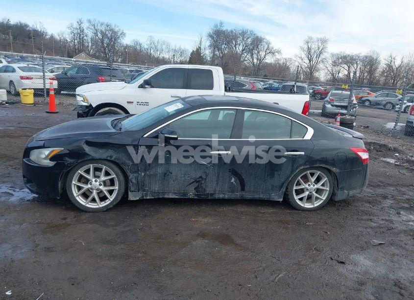 Photo 14 of 2009 Nissan Maxima 3.5 SV (VIN 1N4AA51EX9C856352)