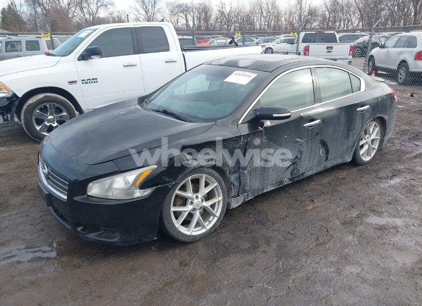 Photo 2 of 2009 Nissan Maxima 3.5 SV (VIN 1N4AA51EX9C856352)