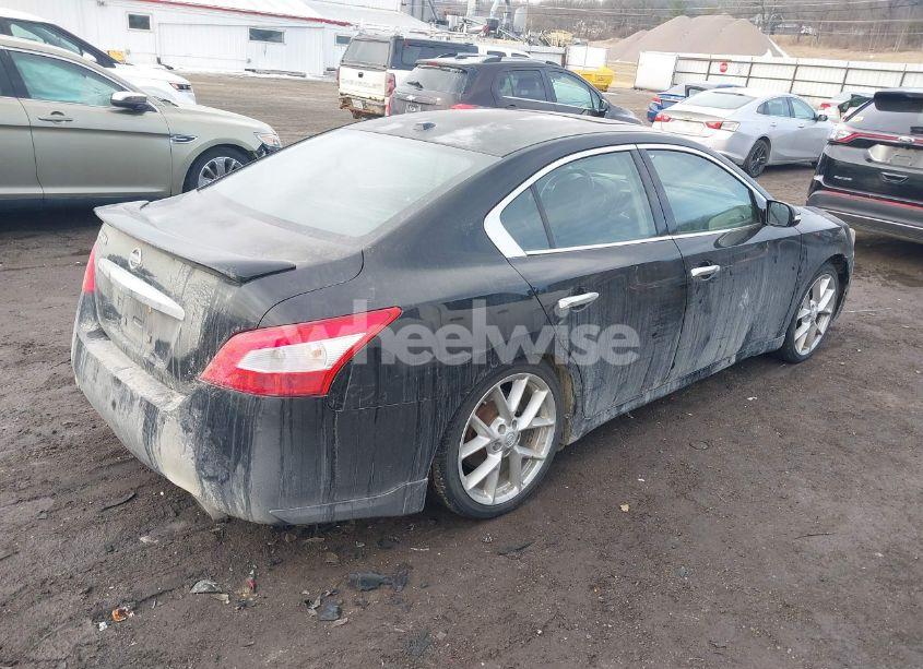 Photo 4 of 2009 Nissan Maxima 3.5 SV (VIN 1N4AA51EX9C856352)