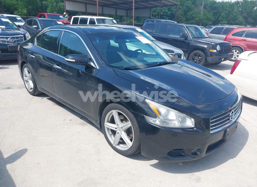 2009 Nissan Maxima 3.5 SV (VIN 1N4AA51EX9C860983) main photo