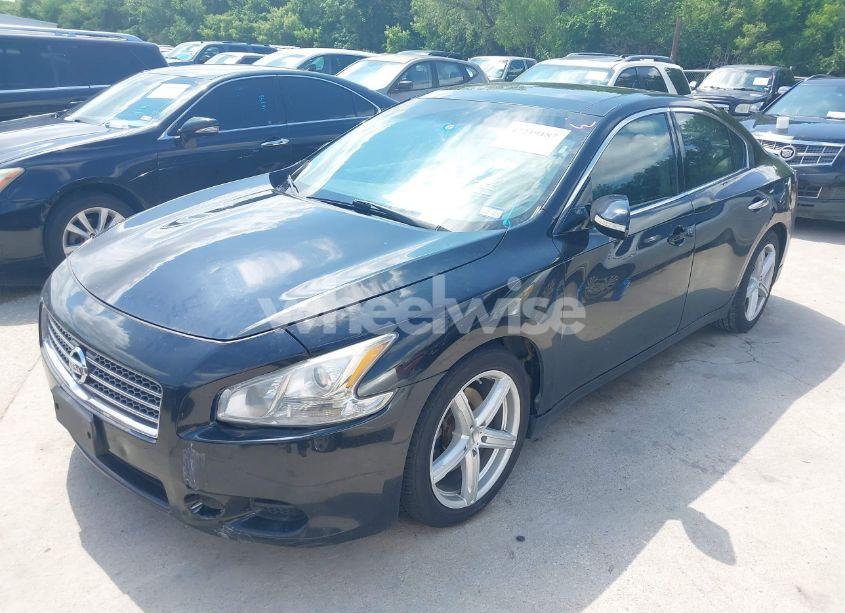 Photo 2 of 2009 Nissan Maxima 3.5 SV (VIN 1N4AA51EX9C860983)