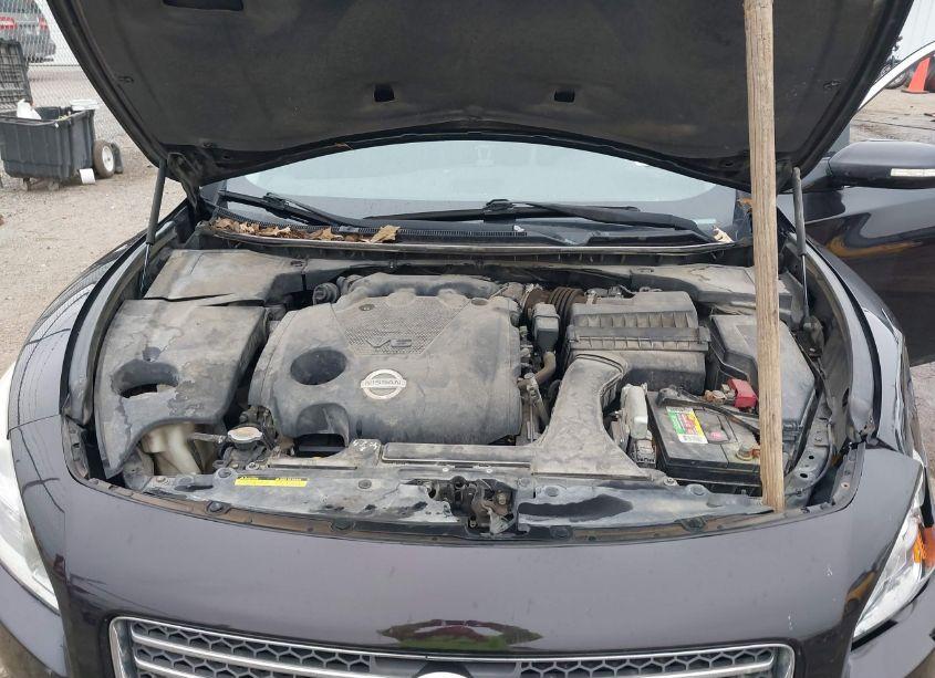 Photo 10 of 2010 Nissan Maxima 3.5 SV (VIN 1N4AA5AP0AC804010)