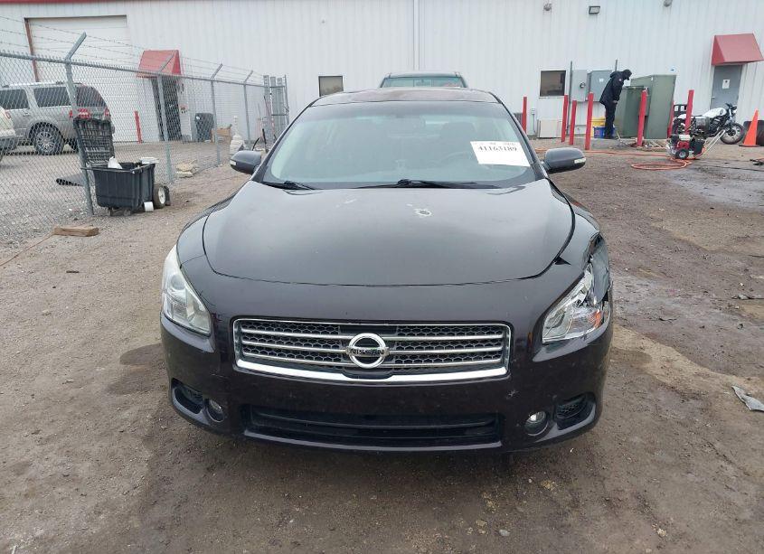 Photo 12 of 2010 Nissan Maxima 3.5 SV (VIN 1N4AA5AP0AC804010)
