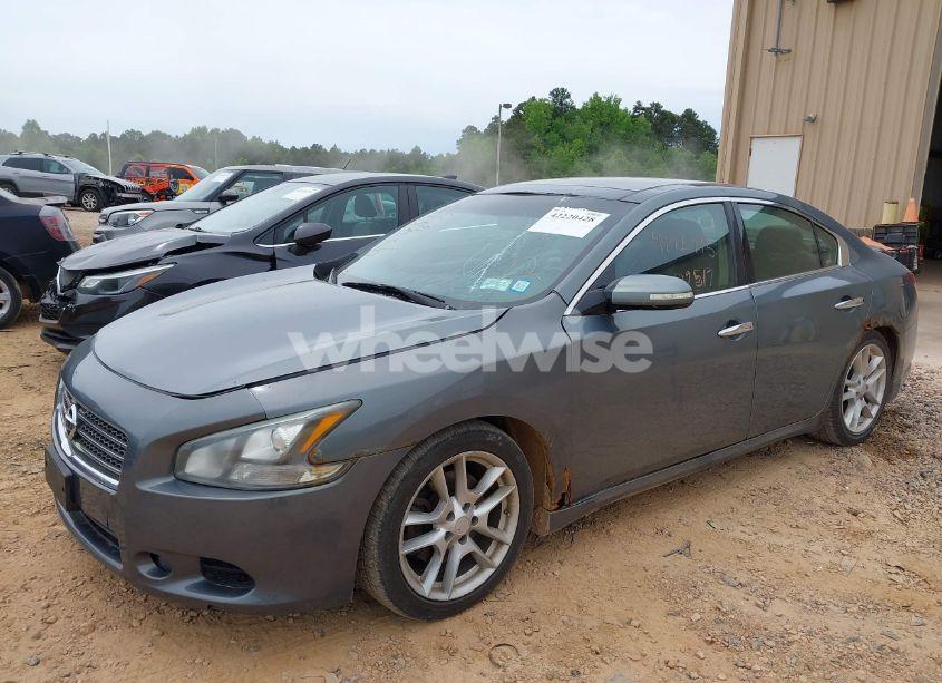 Photo 2 of 2010 Nissan Maxima 3.5 SV (VIN 1N4AA5AP0AC806842)