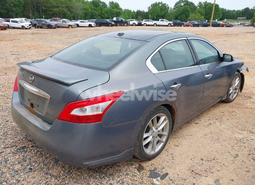Photo 4 of 2010 Nissan Maxima 3.5 SV (VIN 1N4AA5AP0AC806842)