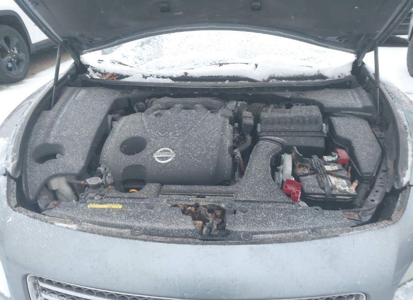 Photo 10 of 2010 Nissan Maxima 3.5 SV (VIN 1N4AA5AP0AC815587)