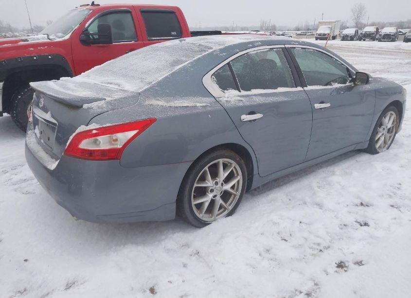Photo 4 of 2010 Nissan Maxima 3.5 SV (VIN 1N4AA5AP0AC815587)