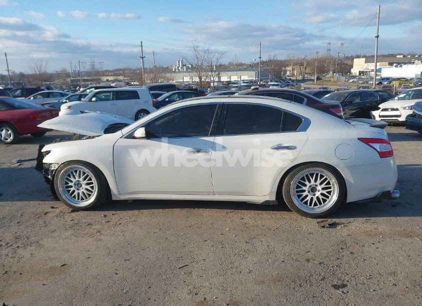 Photo 13 of 2010 Nissan Maxima 3.5 SV W/PREMIUM PKG (VIN 1N4AA5AP0AC816674)