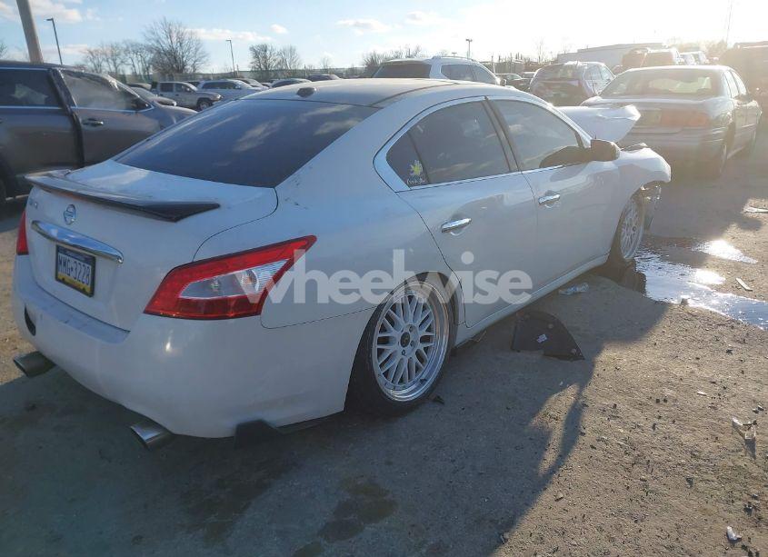 Photo 4 of 2010 Nissan Maxima 3.5 SV W/PREMIUM PKG (VIN 1N4AA5AP0AC816674)