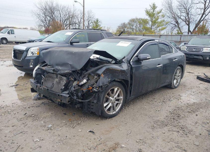 Photo 2 of 2010 Nissan Maxima 3.5 SV (VIN 1N4AA5AP0AC854597)