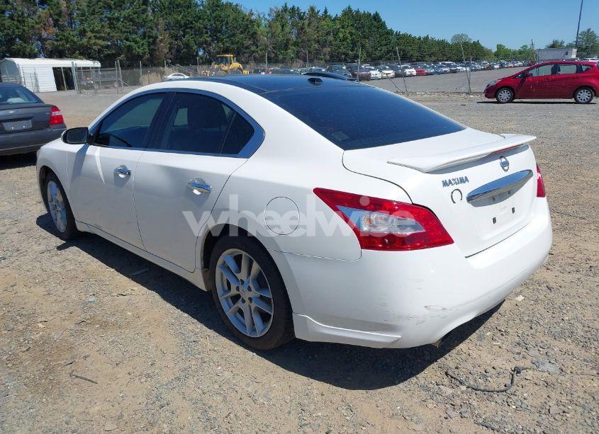 Photo 3 of 2010 Nissan Maxima 3.5 SV (VIN 1N4AA5AP0AC864580)