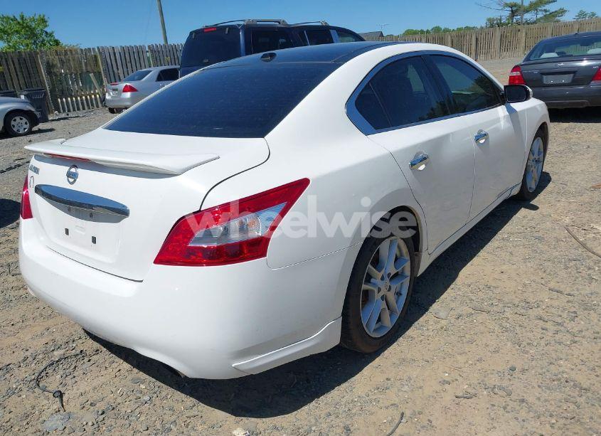 Photo 4 of 2010 Nissan Maxima 3.5 SV (VIN 1N4AA5AP0AC864580)