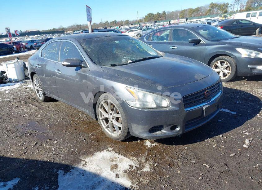 2011 Nissan Maxima 3.5 SV (VIN 1N4AA5AP0BC816188) main photo