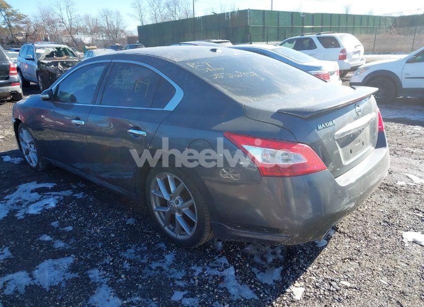 Photo 3 of 2011 Nissan Maxima 3.5 SV (VIN 1N4AA5AP0BC816188)