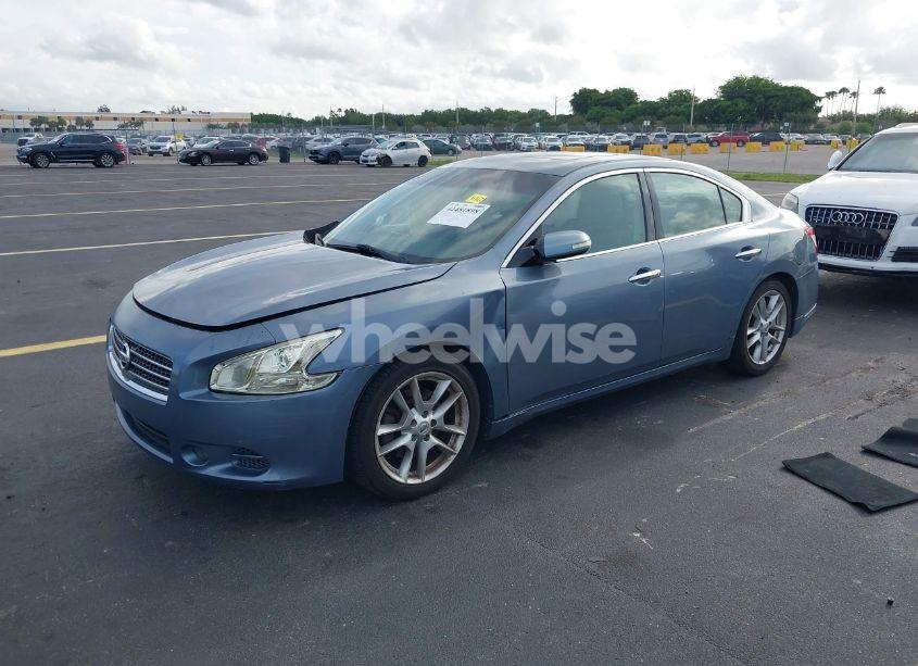 Photo 2 of 2011 Nissan Maxima 3.5 SV (VIN 1N4AA5AP0BC822802)