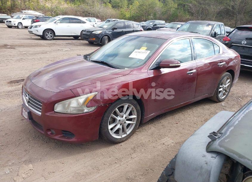 Photo 2 of 2011 Nissan Maxima 3.5 SV (VIN 1N4AA5AP0BC836201)