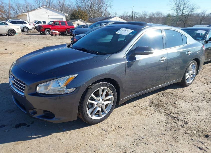 Photo 2 of 2011 Nissan Maxima 3.5 SV (VIN 1N4AA5AP0BC838451)