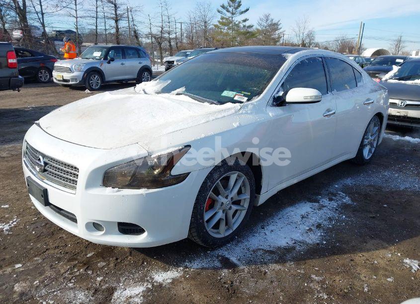 Photo 2 of 2011 Nissan Maxima 3.5 SV (VIN 1N4AA5AP0BC840748)