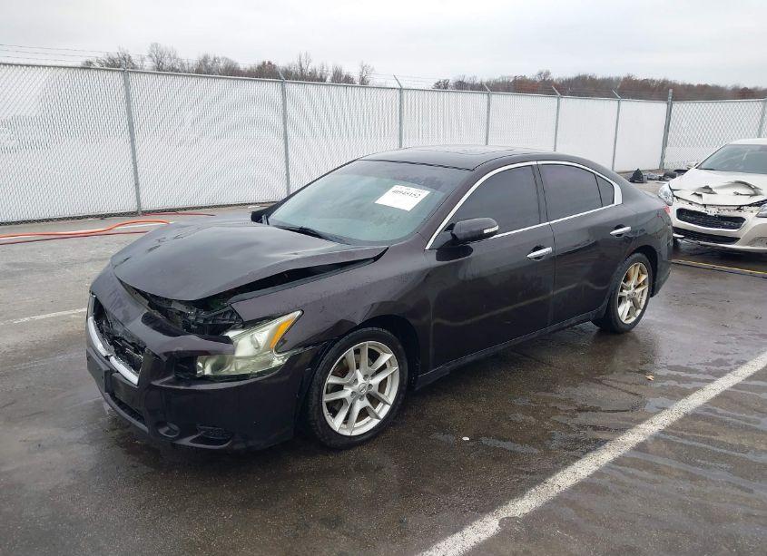 Photo 2 of 2011 Nissan Maxima 3.5 SV (VIN 1N4AA5AP0BC841446)