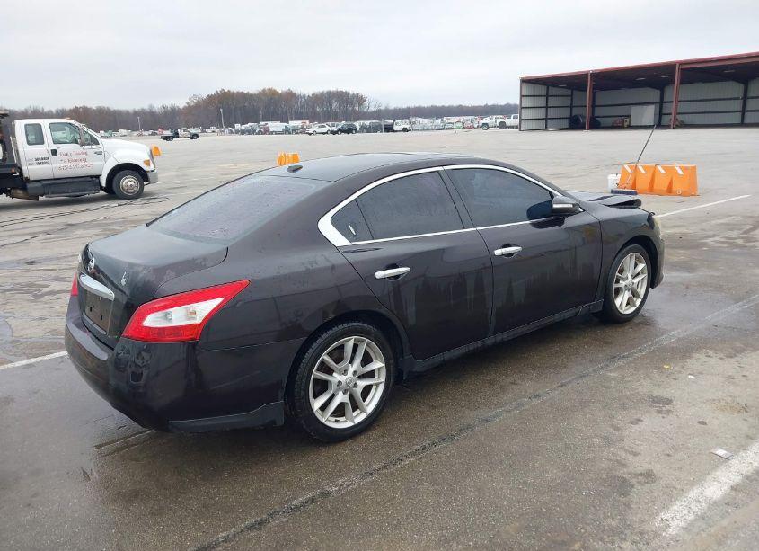 Photo 4 of 2011 Nissan Maxima 3.5 SV (VIN 1N4AA5AP0BC841446)