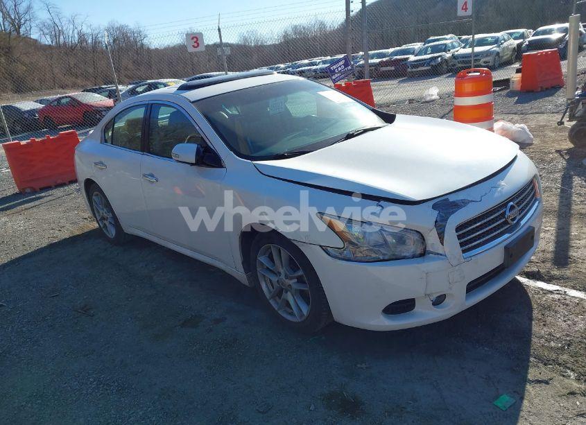 2011 Nissan Maxima 3.5 SV (VIN 1N4AA5AP0BC849773) main photo
