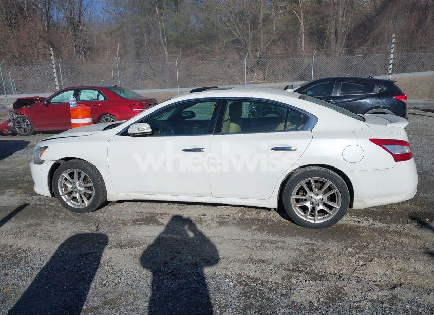 Photo 14 of 2011 Nissan Maxima 3.5 SV (VIN 1N4AA5AP0BC849773)