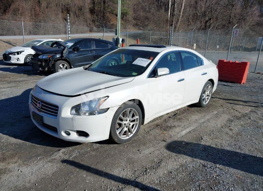 Photo 2 of 2011 Nissan Maxima 3.5 SV (VIN 1N4AA5AP0BC849773)