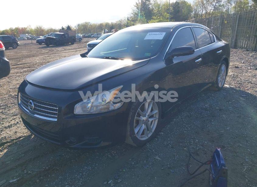 Photo 2 of 2010 Nissan Maxima 3.5 S (VIN 1N4AA5AP1AC805344)