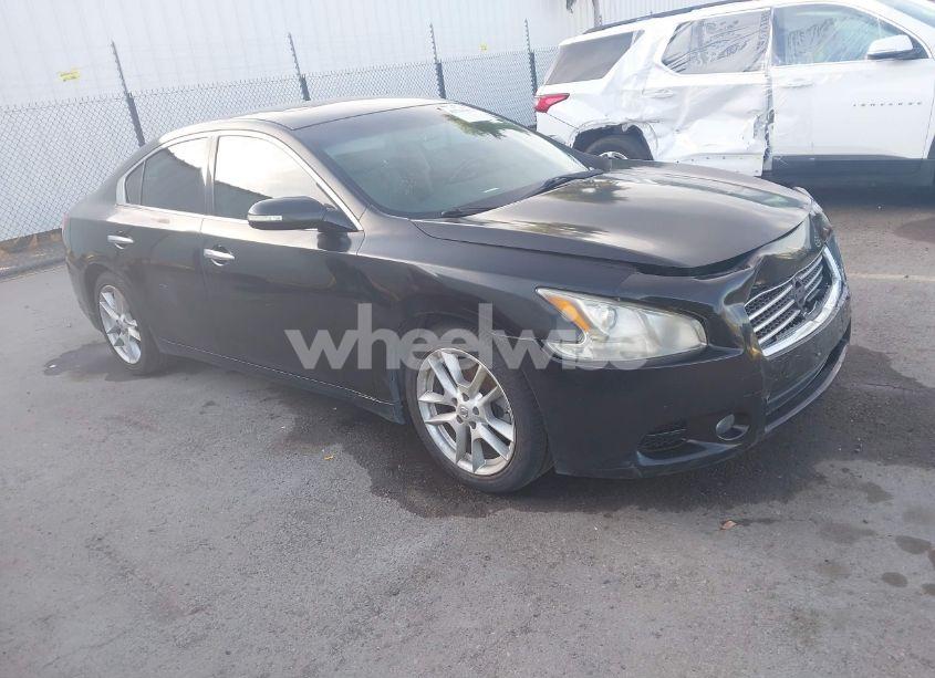 2010 Nissan Maxima 3.5 SV (VIN 1N4AA5AP1AC805361) main photo