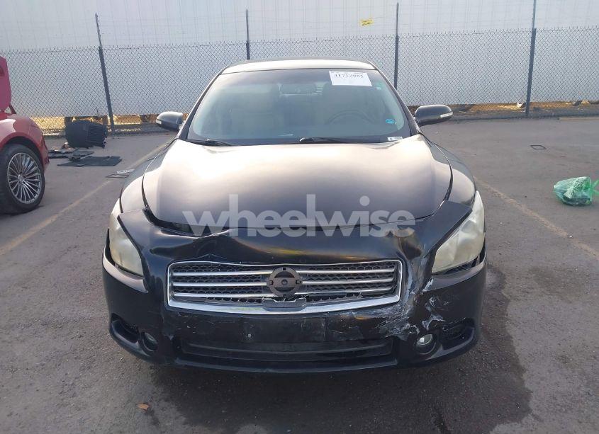 Photo 12 of 2010 Nissan Maxima 3.5 SV (VIN 1N4AA5AP1AC805361)